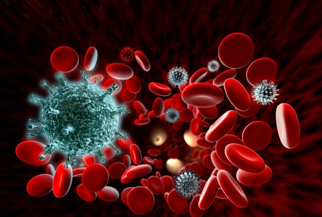 антитела к цитомегаловирусу в крови