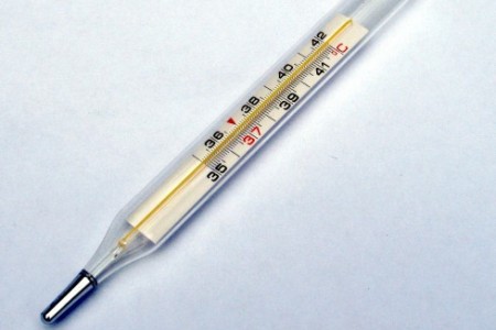 Термометр для измерения базальной температуры: для определения беременности до задержки 