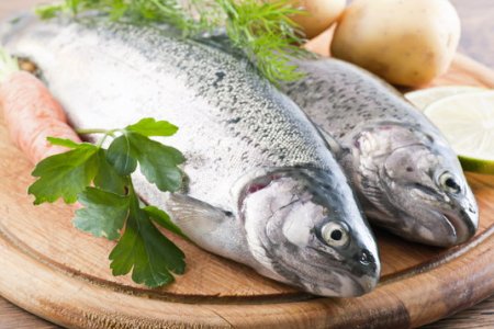 Рыба: диета для ребенка при гепатите