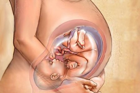 Ребенок в утробе: головное предлежание плода