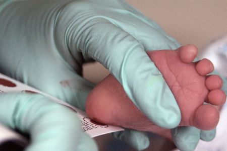  у новорождённого берут кровь на неонатальный скрининг 