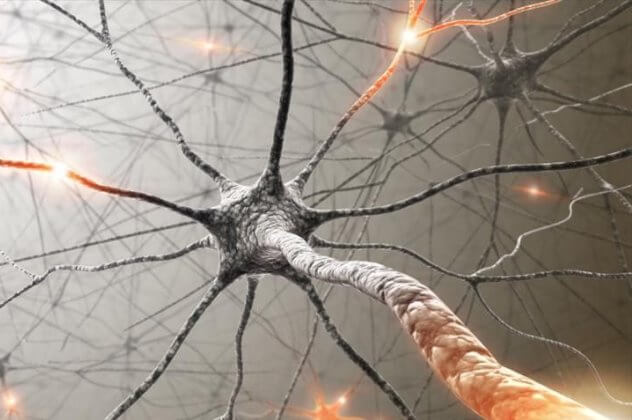 Нейроны мозга: причины и симптомы эпилепсии у детей