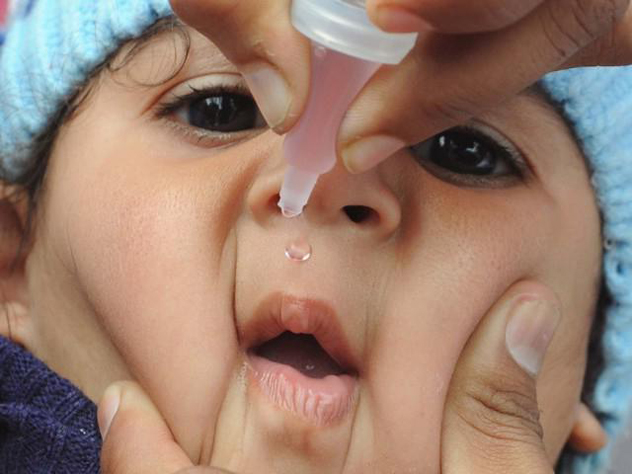 капли от полиомелита
