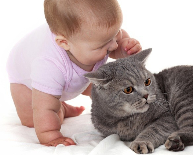 младенец и кот