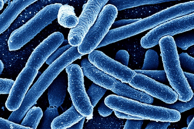 Мирамистин борется с бактериями