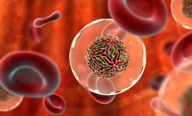 Вирус гепатита С передается через кровь