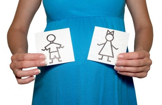 беременная держит картинки с мальчиком и девочкой