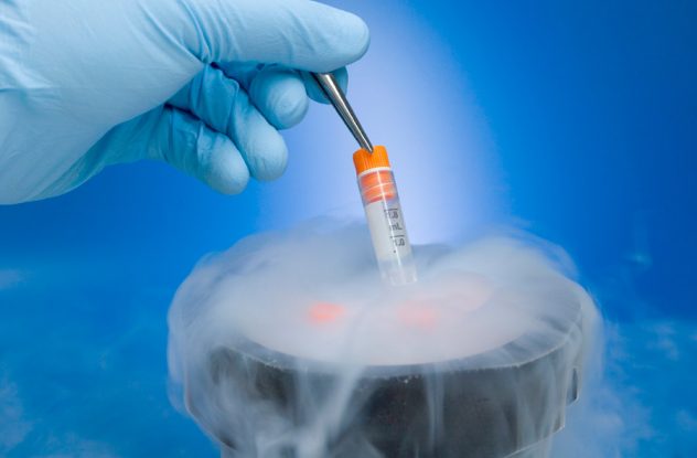 Криоконсервация ооцитов,эмбрионов