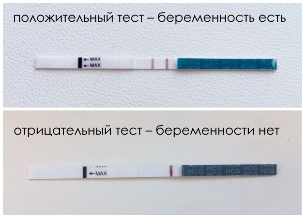 фото: полоски на тесте на беременность