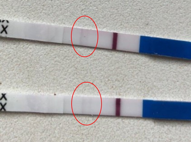 Фото: три полоски на тесте на беременность