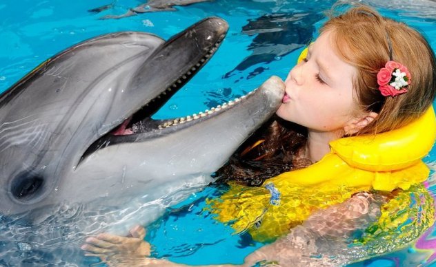  индивидуальное плаванье с дельфинами - отличный подарок девочке на 9 лет