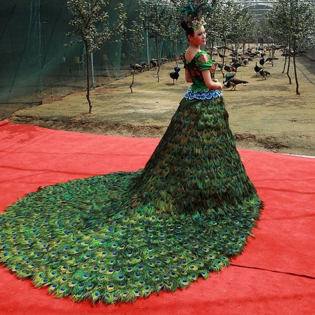 Необычное свадебное платье из павлиньих перьев