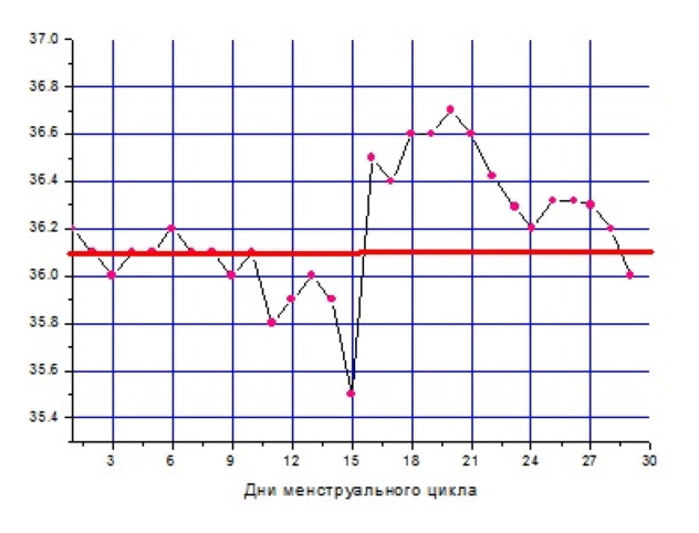график бт на ранних сроках беременности со снижением температуры