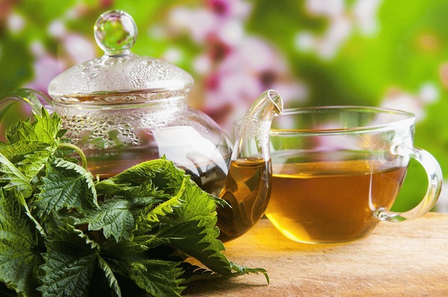 чай из крапивы - эффективное народное средство для лечения аллергического кашля у детей