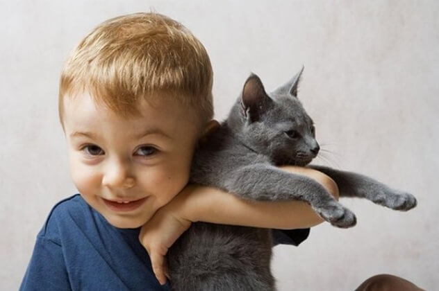 Мальчик с котом: детская жестокость, как проблема воспитания